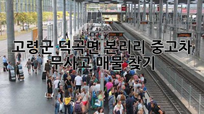 고령군 덕곡면 본리리 중고차 무사고 매물 찾기