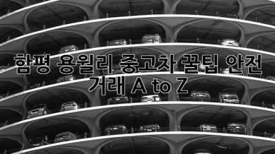 함평 용월리 중고차 꿀팁🍯 안전 거래 A to Z