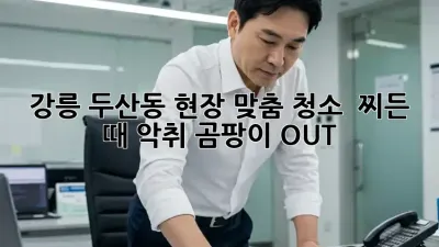 강릉 두산동 현장 맞춤 청소 ✨ 찌든 때, 악취, 곰팡이 OUT!