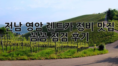 전남 영암 렌트카 정비 맛집! ✨꼼꼼 점검 후기🚗